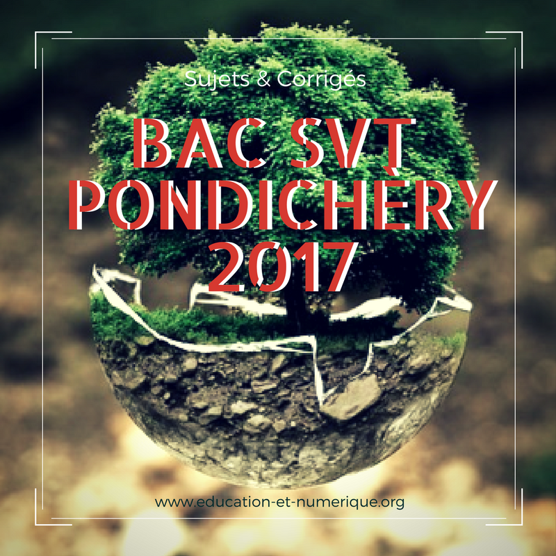 Bac SVT Pondichéry 2017 – Sujets et corrigés